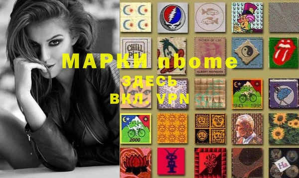 шишки Верея