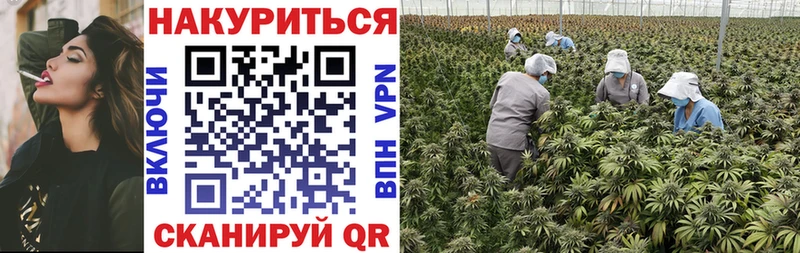 Канабис White Widow Звенигово